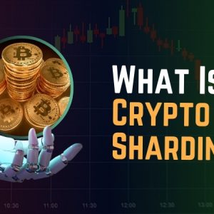 What Is Crypto Sharding and How Does it Work?